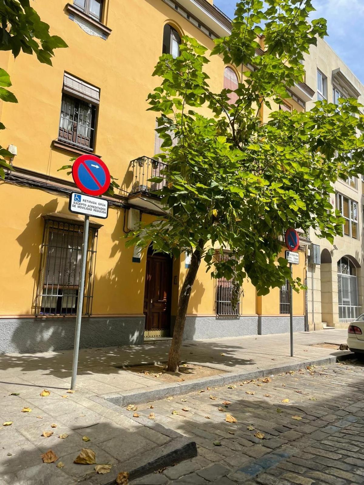 Apartamento Entero En Los Jardines De Murillo إشبيلية المظهر الخارجي الصورة